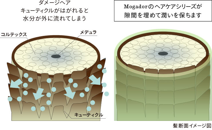 天然保湿成分がダメージヘアを理想のうる艶髪に導く