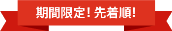期間限定!先着順