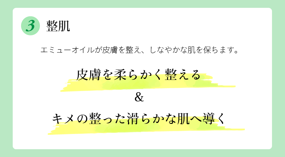 整肌 皮膚を柔らかく整える&キメの整った滑らかな肌へ導く