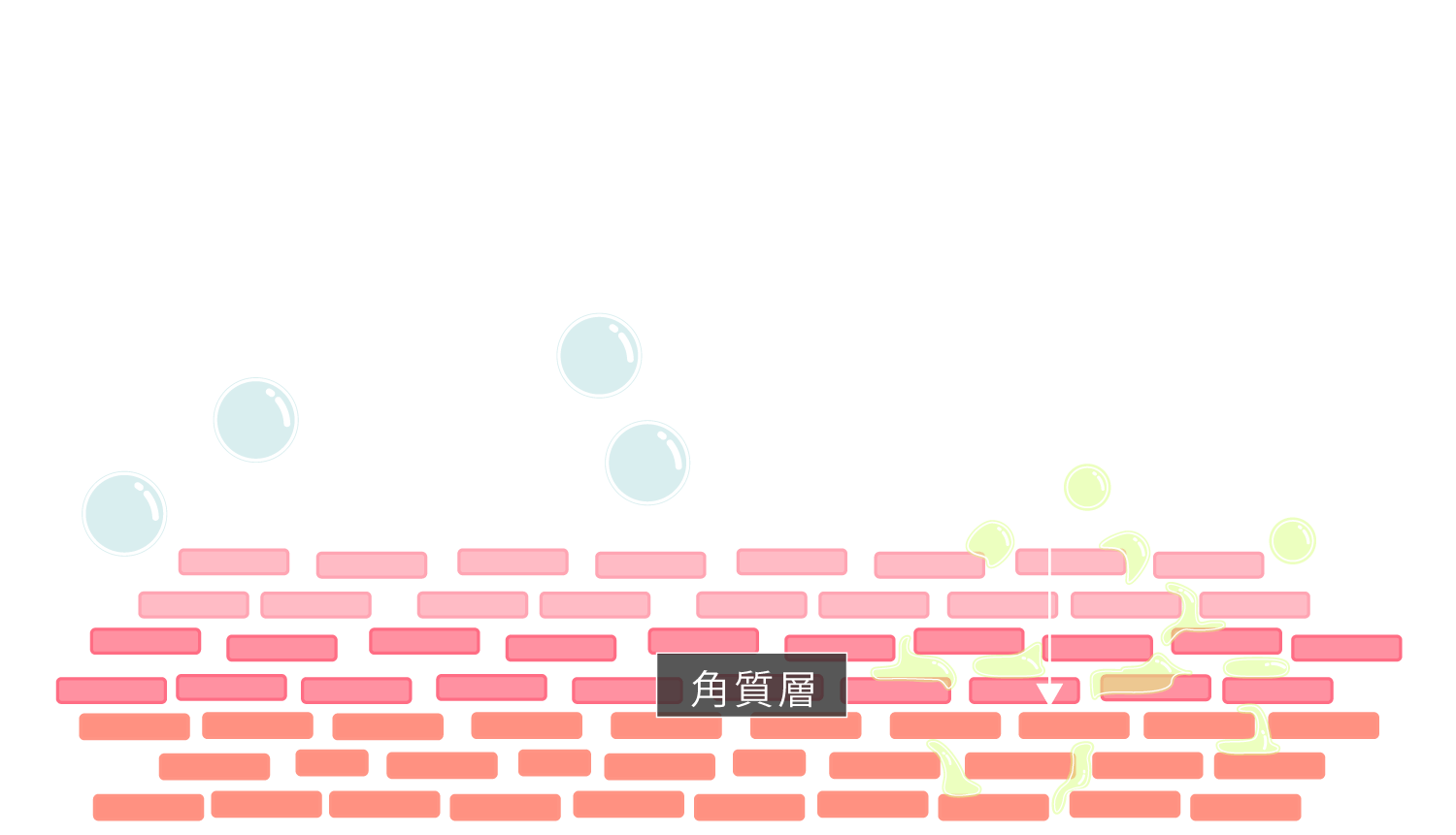 浸透イメージ